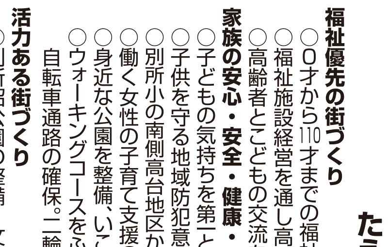 選挙公報記載の武蔵浦和学園公約
