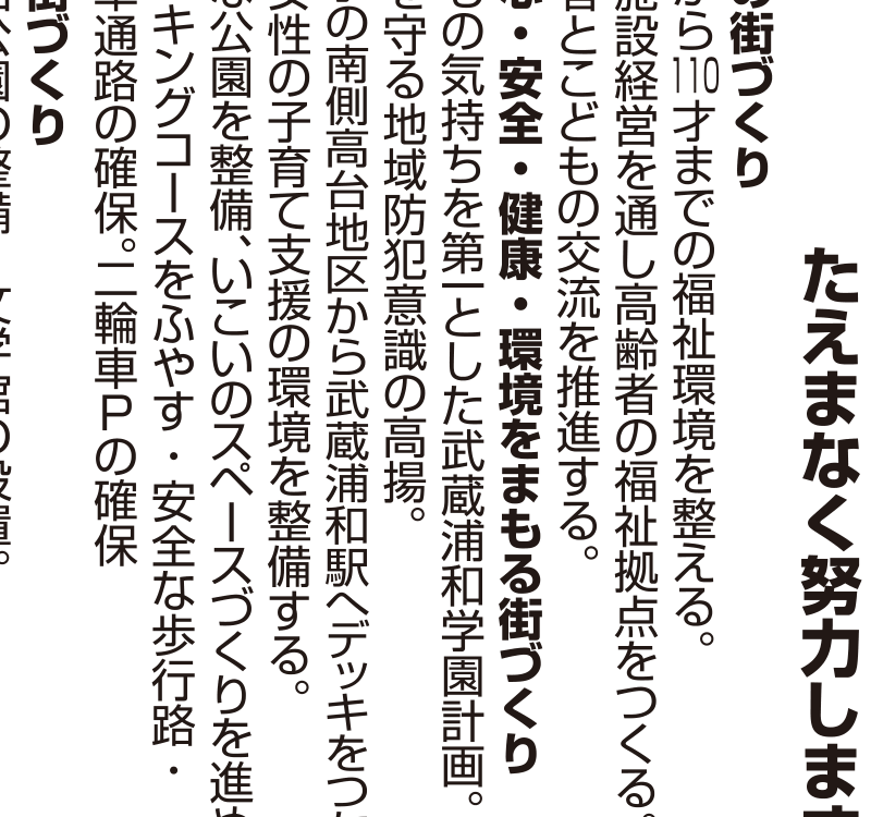 選挙公報記載の歩行路安全公約