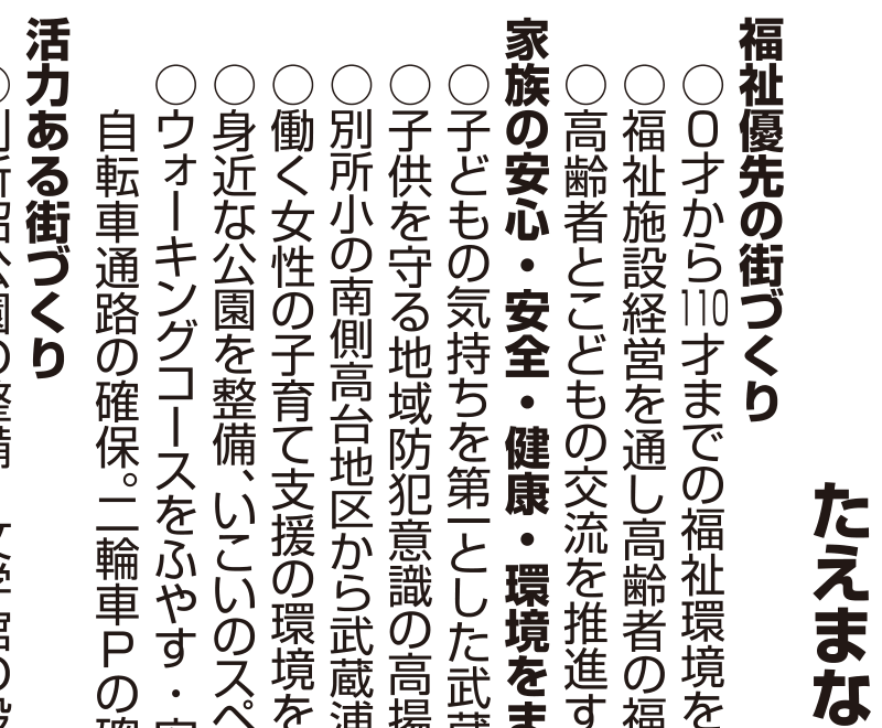 選挙公報記載の子ども安全公約