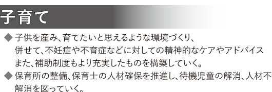 選挙公報に掲載された石関洋臣議員の住みよい街づくりの推進公約