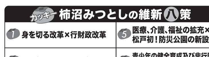 選挙公報に掲載された柿沼みつとし議員の身を切る改革公約