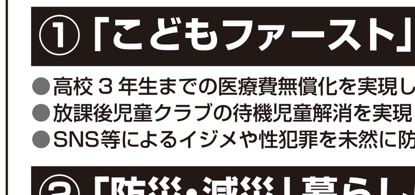 選挙公報に掲載された神坂達成議員の高齢者支援公約
