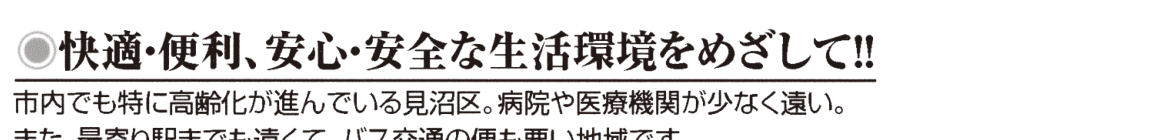 選挙公報記載の生活環境整備公約