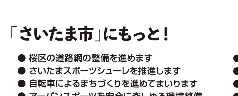 選挙公報に掲載されたスポーツシューレ公約