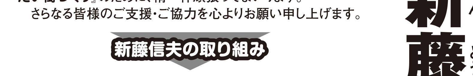 選挙公報に掲載された幹線道路整備公約