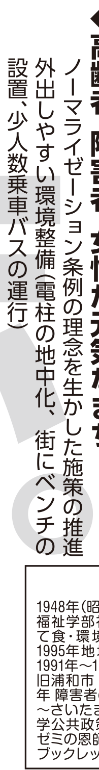 選挙公報記載のノーマライゼーション推進公約