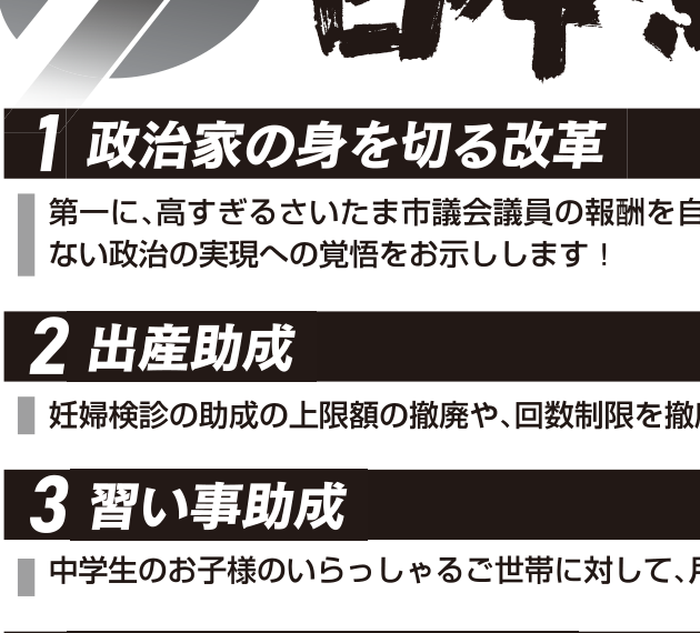 選挙公報記載のコミュニティバス開設とインフラ推進公約