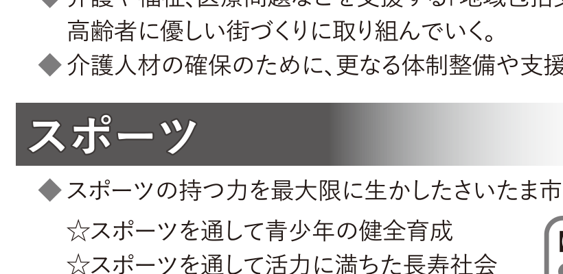 選挙公報記載のスポーツによる地域活性化公約